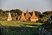 Old Bagan Myanmar. Group of monuments on the NW corner of the old city. 